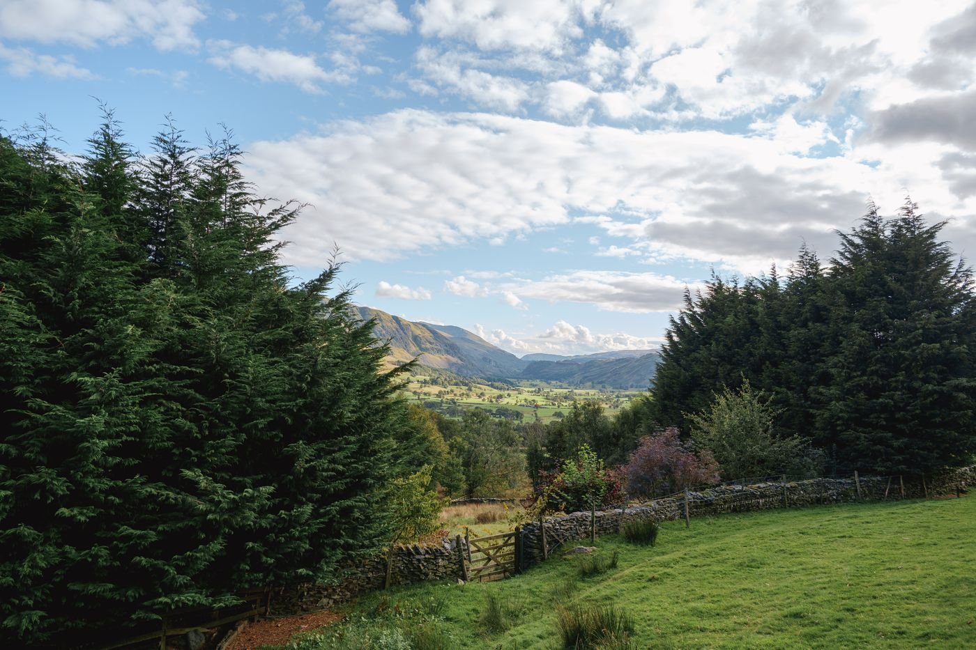 A green Cumbrian lane with a stone wall and fells beyond